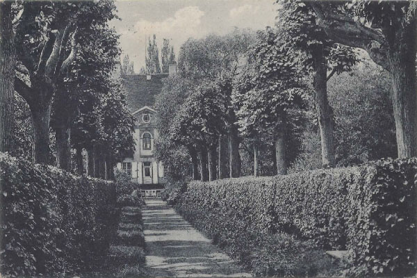 Lindenallee zur Rückseite des Schlosses