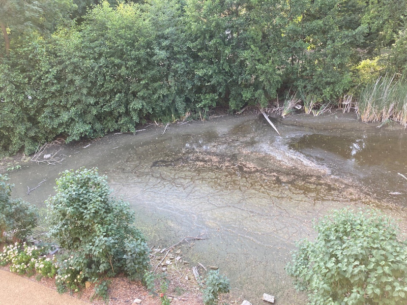 Jahressrückblick 2022: Ausgetrockneter Schlossgraben