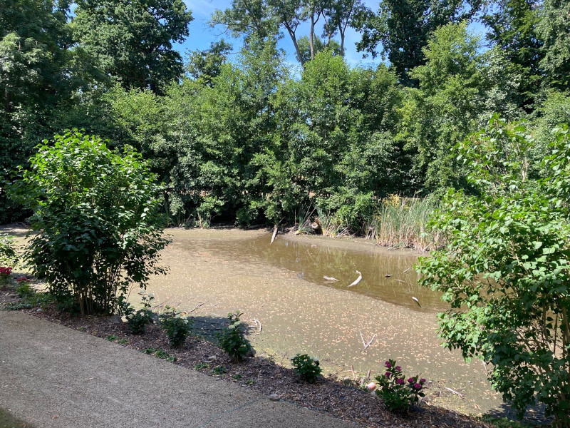 Jahressrückblick 2022: Ausgetrockneter Schlossgraben