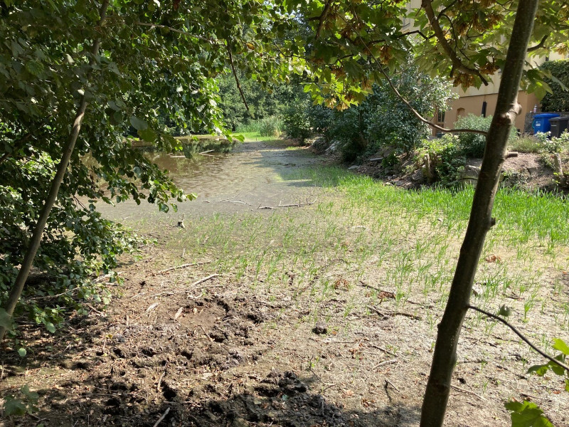 Jahressrückblick 2022: Ausgetrockneter Schlossgraben und Pfahlgründung