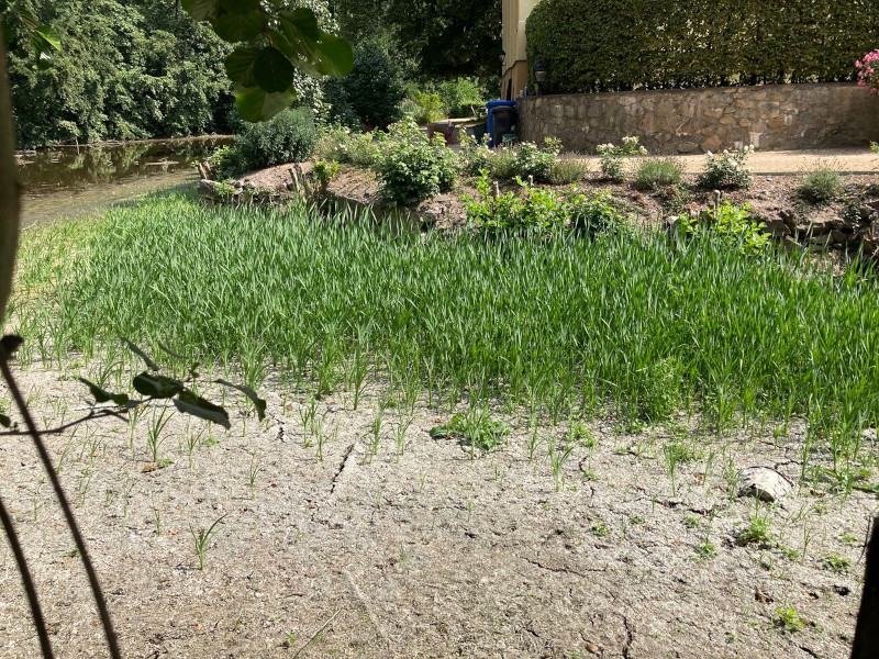 Jahressrückblick 2022: Ausgetrockneter Schlossgraben und Pfahlgründung