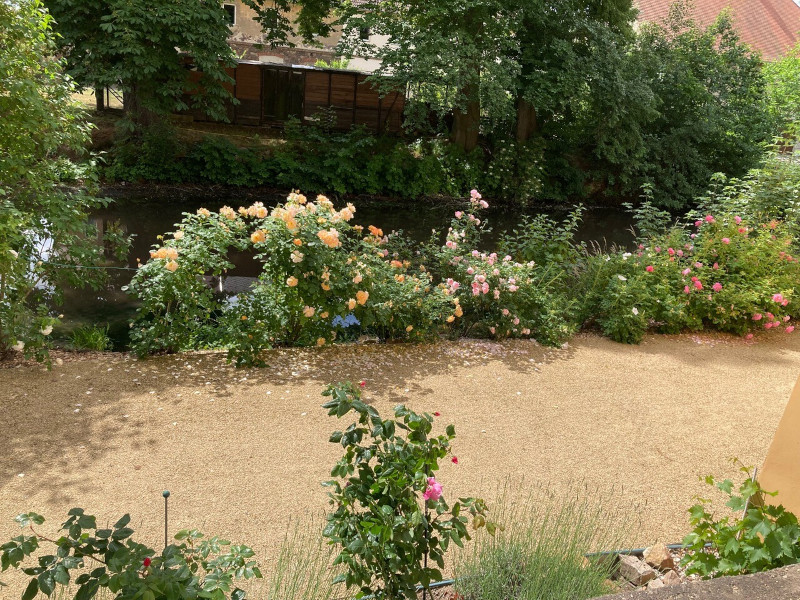 Jahressrückblick 2022: Blütenpracht im Schlossgarten