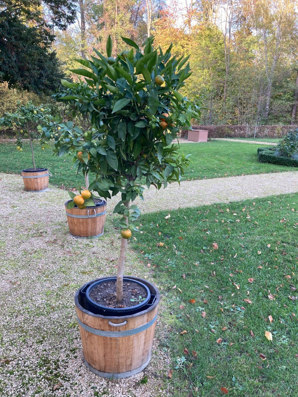 Jahressrückblick 2022: Schlossgarten im Herbstgewand