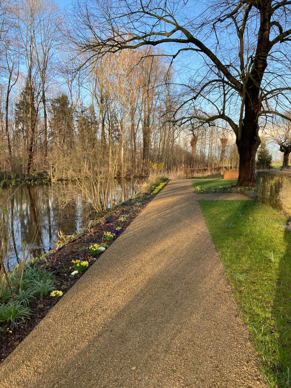Jahressrückblick 2022: Frühblüher umrahmen die Gartenwege